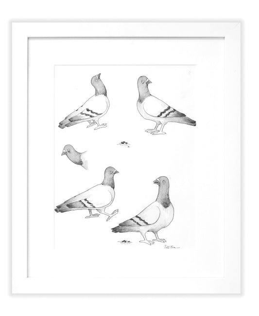 Boutique Set Pigeons