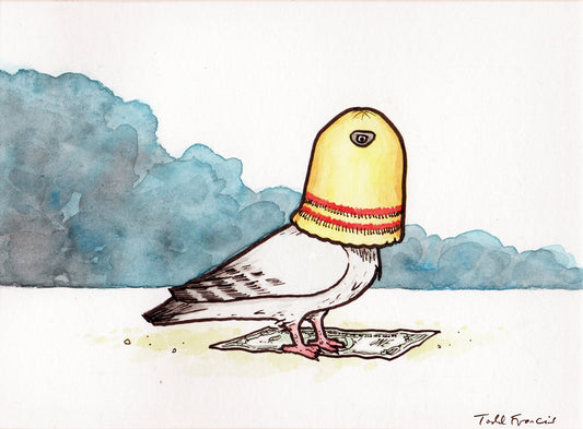 Beanie Bandit Pigeon