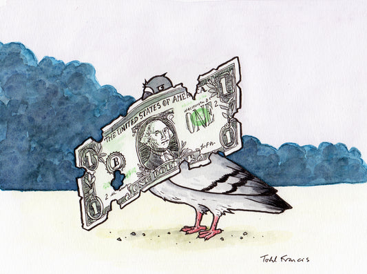 Damaged Dollar Pigeon