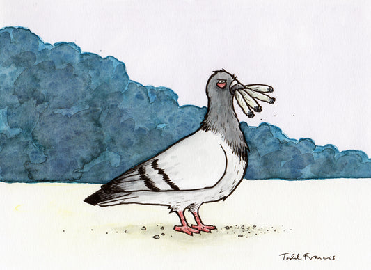 Doobied Pigeon
