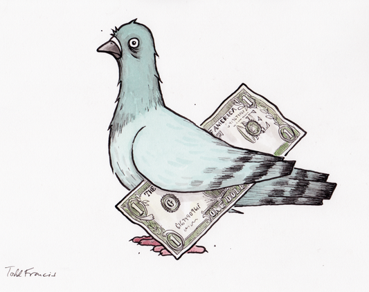 Fiscal Pigeon