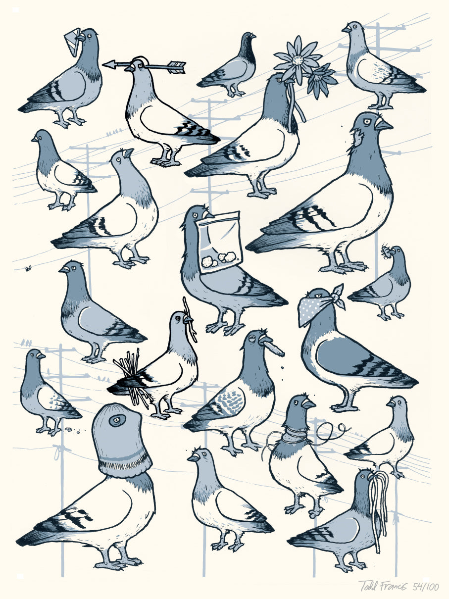 Pigeon Flock