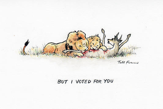 But I Voted For You