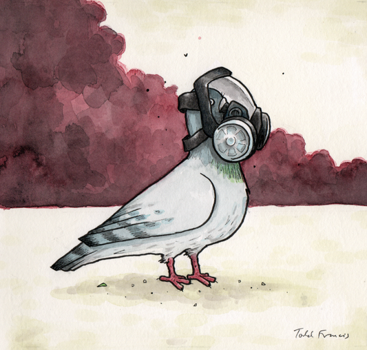 Masked Protest Pigeon