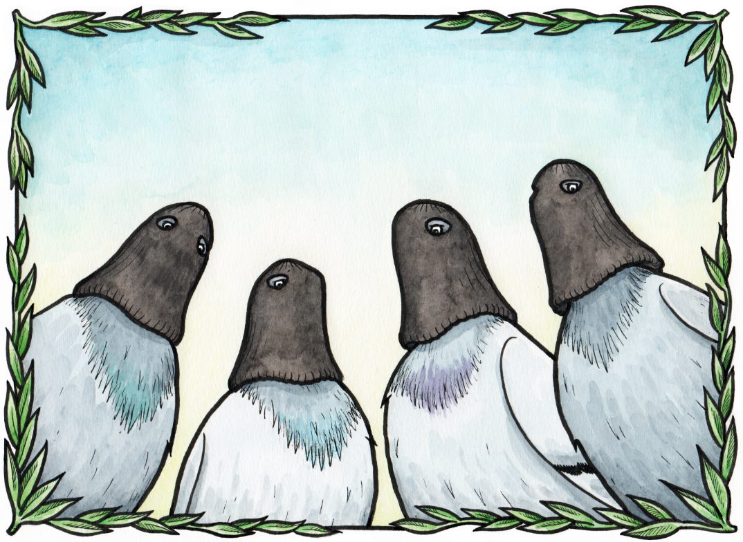 Mayhem Pigeon