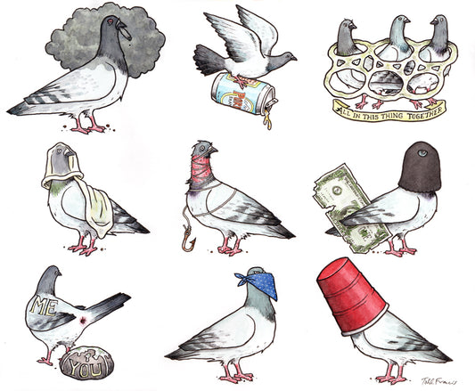 Nine Pigeons Right Here
