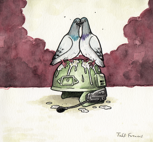 Helmet Protest Pigeons