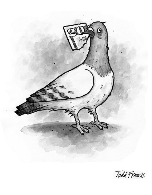 Team Money Pigeon